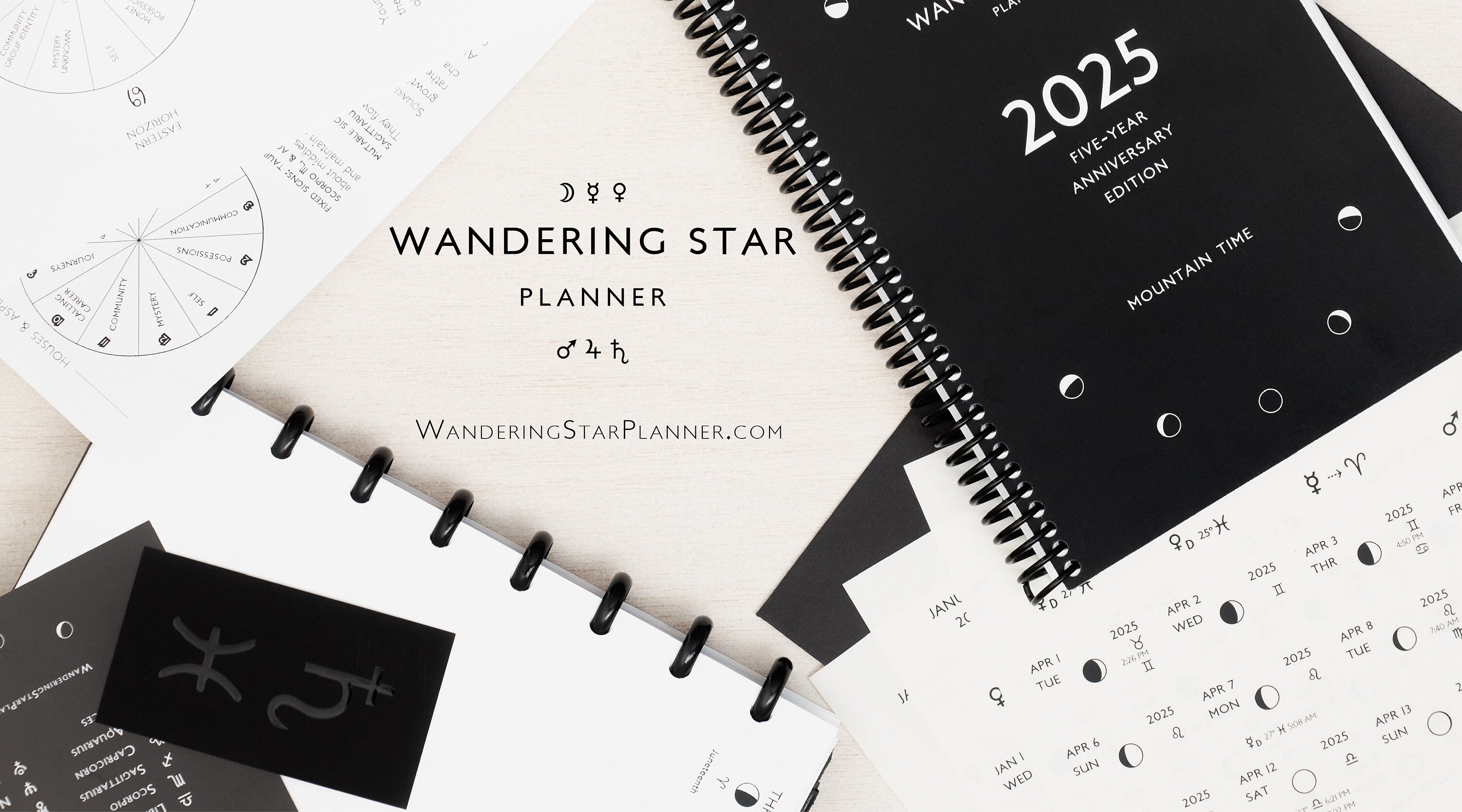 Blank Bi-Wheel Astrology Chart Template (Printable PDF)