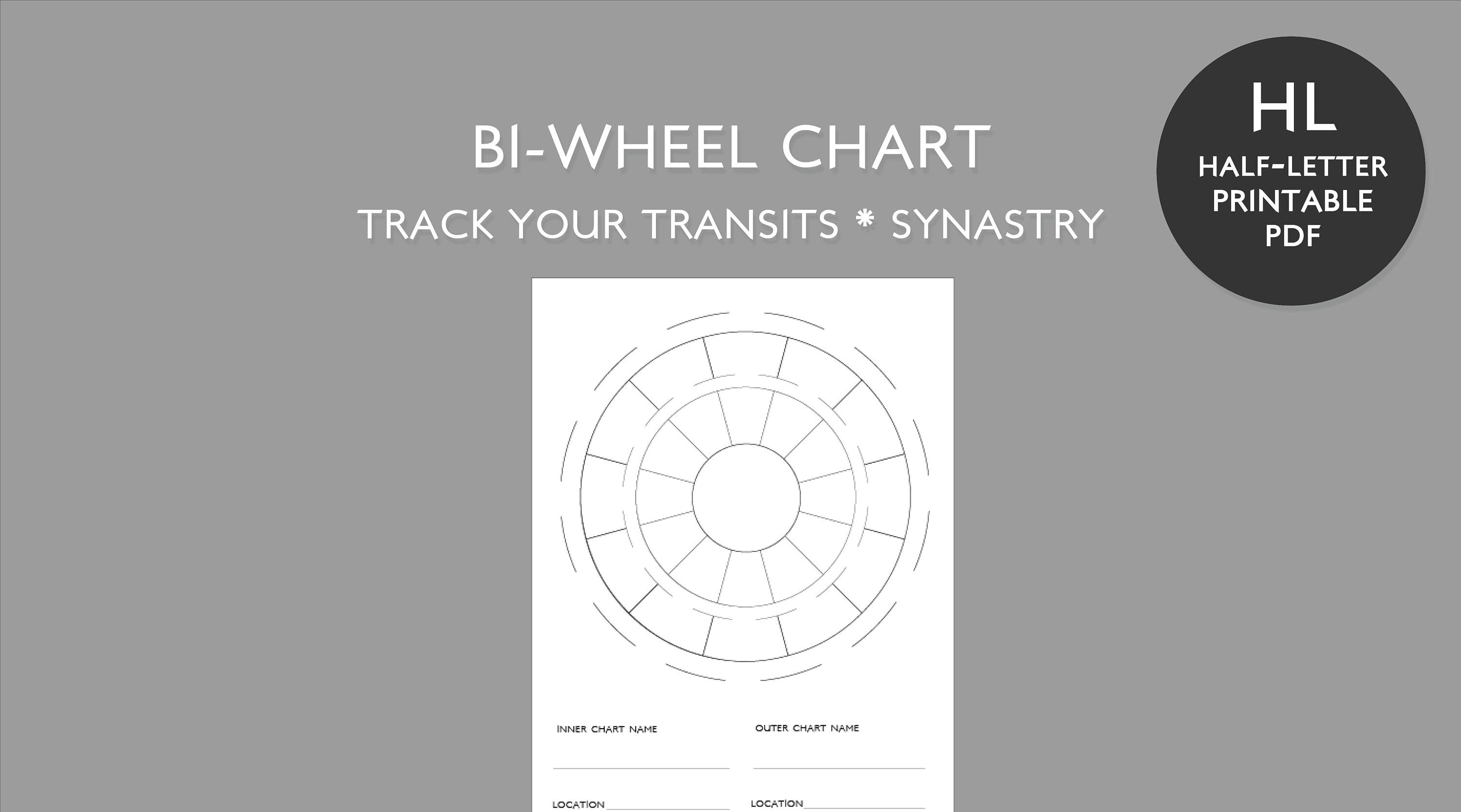 Blank Bi-Wheel Astrology Chart Template (Printable PDF)