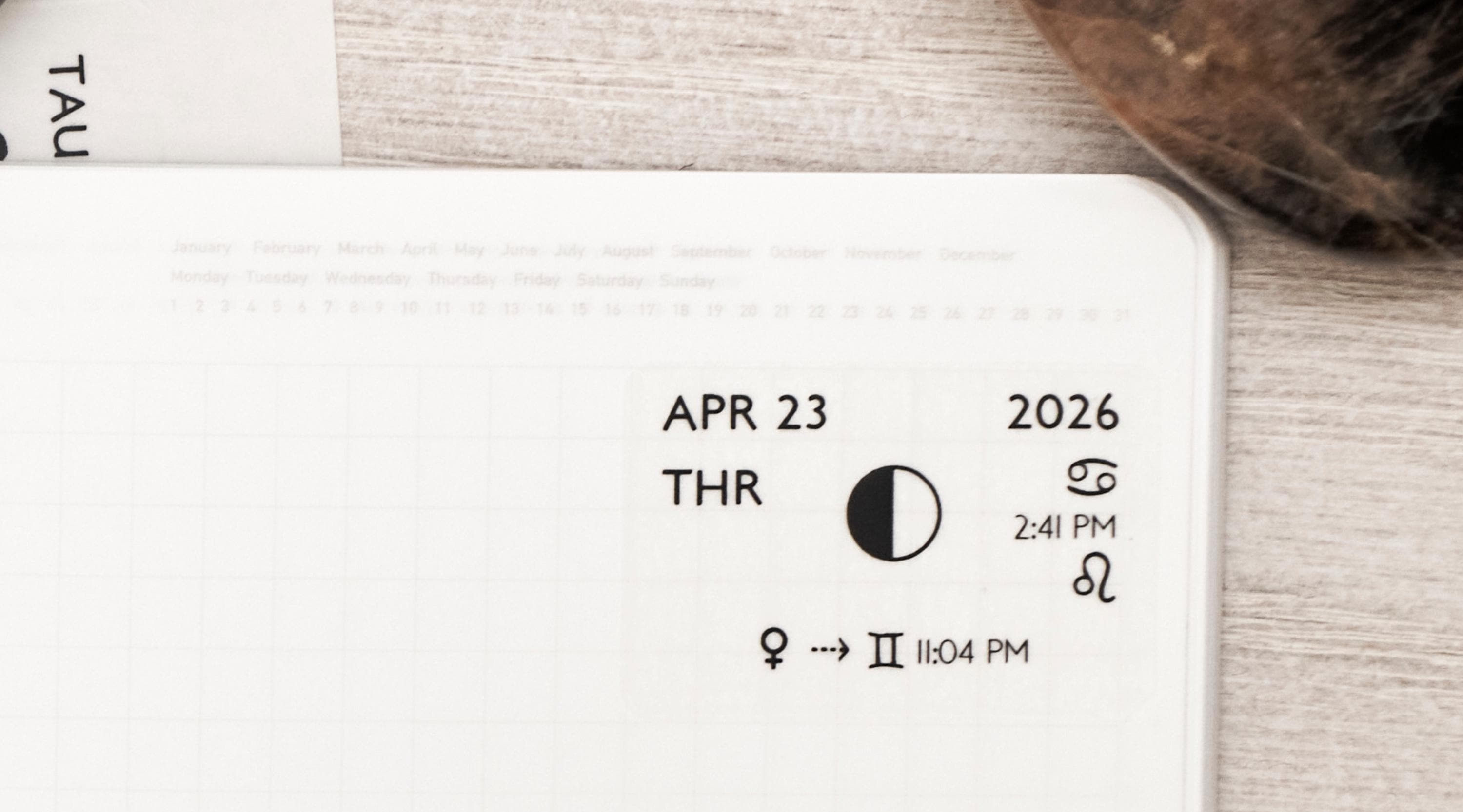 Dated DAILY Astrology Planner Stickers – Central Time Zone (CST/CDT) 1.5" Box Fit & Bujo Journal